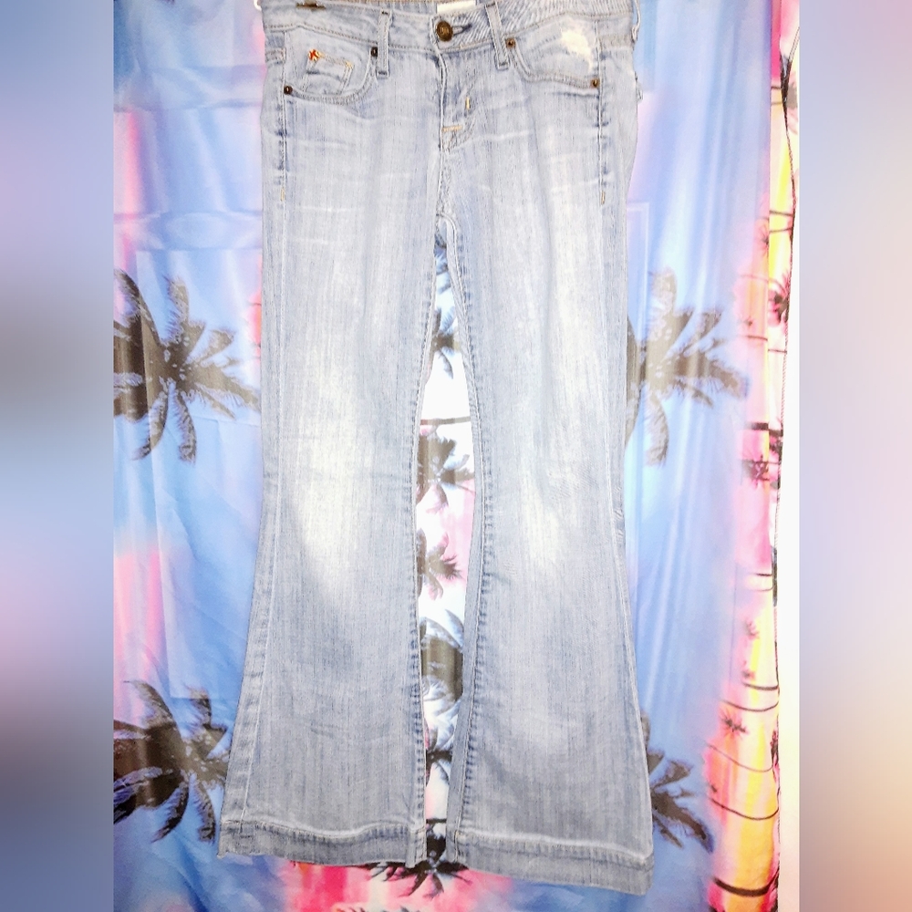 Hudson Jeans Wide Legged Flare Distressed Denim